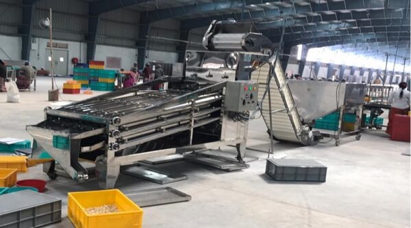 Kernel Grader Machine The modern Cashew kernel grading machine, capacity 600 kg/hour - MEKONG ...